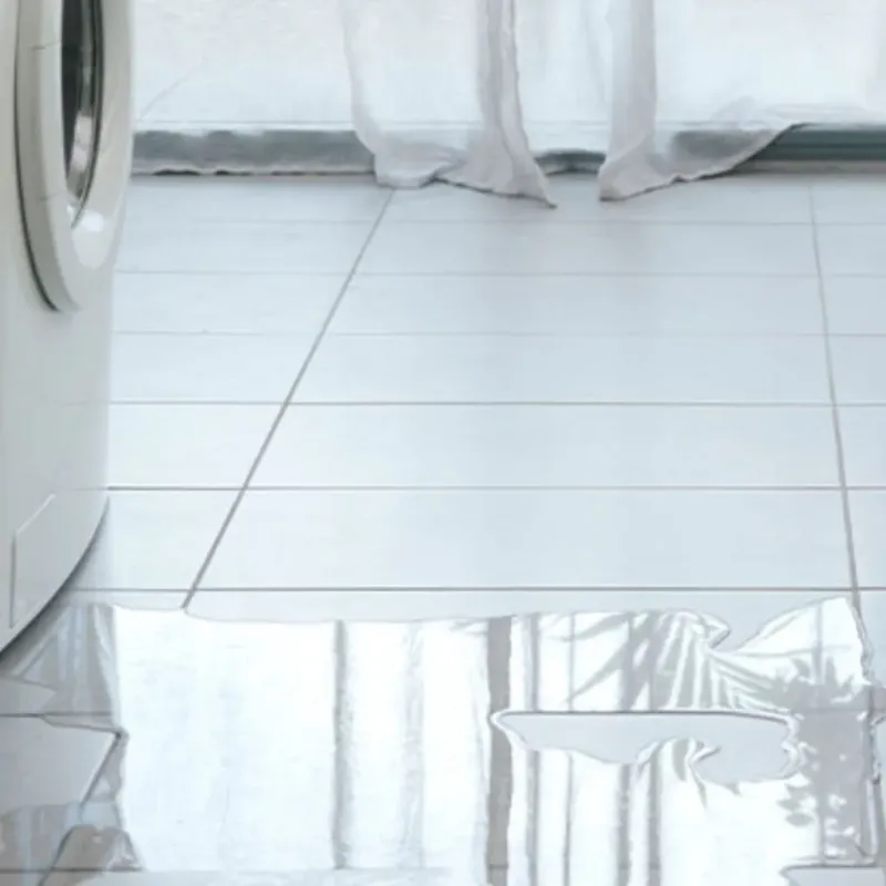 Appliance Leak Cleanup in Grant County, WA