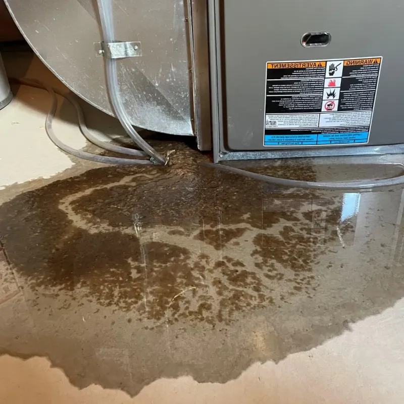 Pipe Burst and Leak Restoration in Grant County, WA