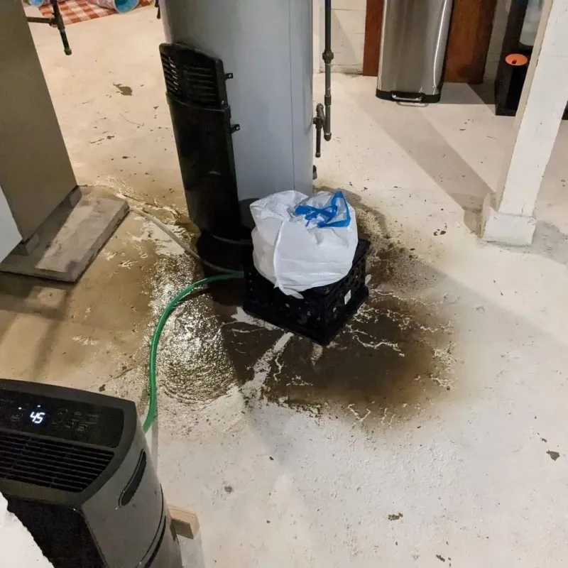 Sewage Backup Cleanup Service in Grant County, WA